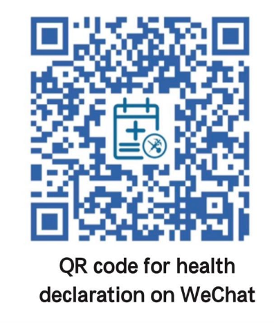 egyptair declaration